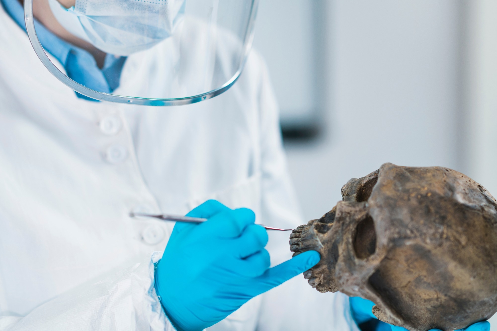 Ancient DNA Analysis.