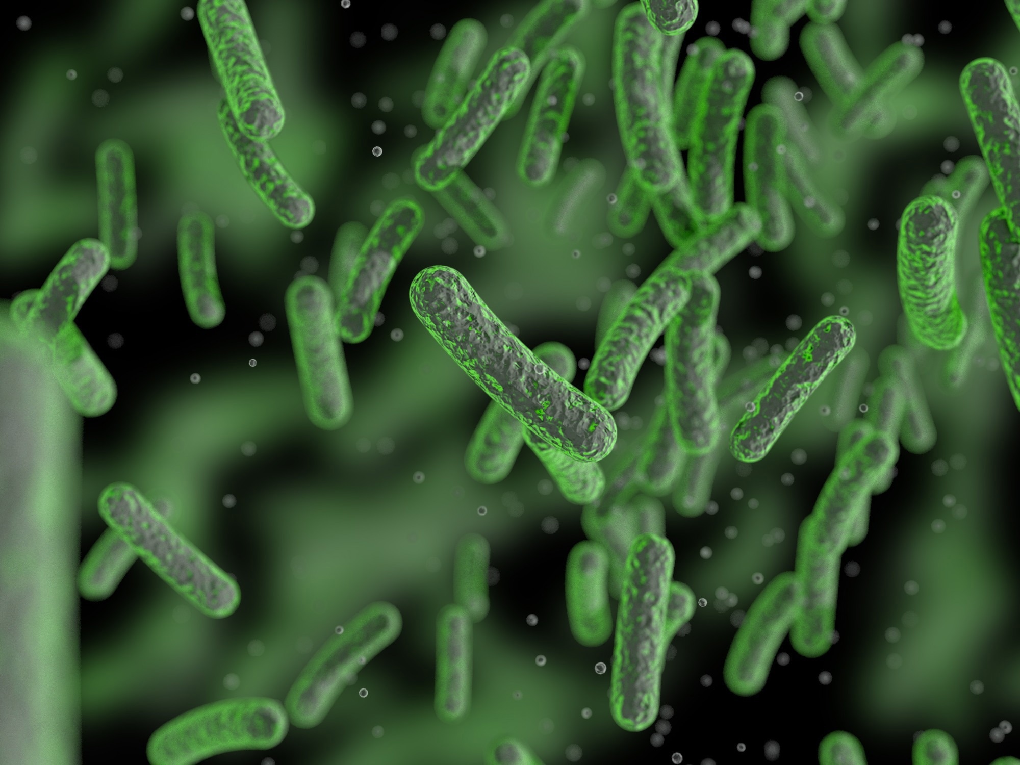 Bacterial colony.