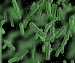 How Microbes Are Shaping a Sustainable Future