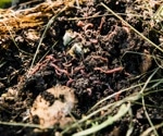 How AI and 3D Imaging are Transforming Body Farm Research