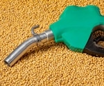 Using Synthetic Biology to Create Sustainable Biofuels