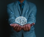 How Mini-Brains Are Transforming Neuroscience