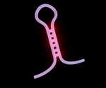 LncRNAs, CircRNAs, and the Unseen Regulators of Gene Expression