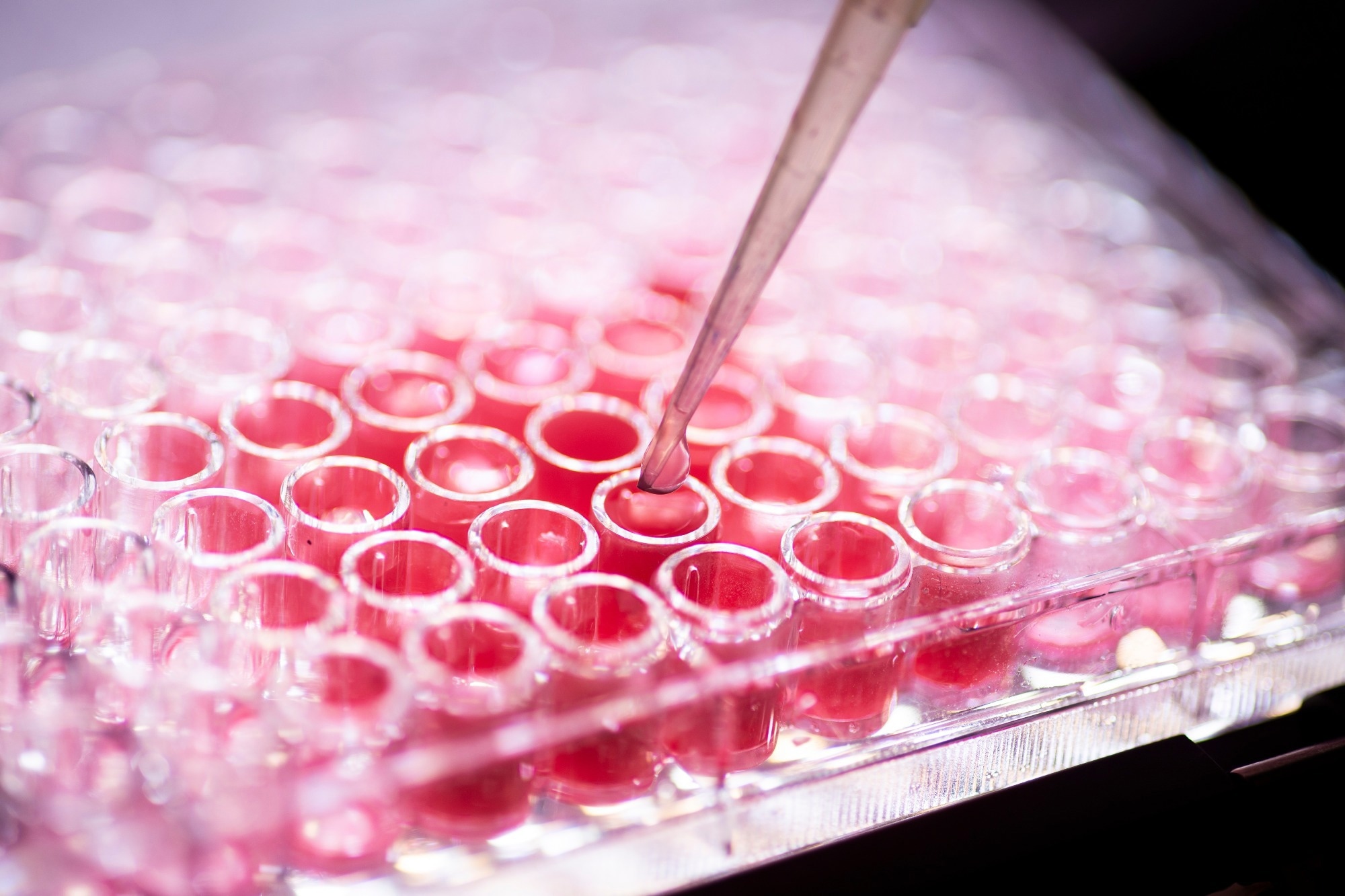 Cell Culture: The Future of Science.