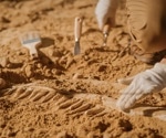 Looking to the Past: What Fossilized Tissues Can Teach Us About Modern Illness
