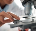 How Do Genetics and Diet Shape the Human Microbiome?