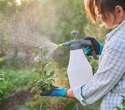 Engineered for Defence: How Modified Microbes are Becoming the New Biopesticides