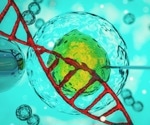 CRISPR and the Ethics of Human Germline Intervention