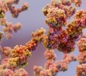 What’s Next for Enzyme Engineering in Synthetic Biology?