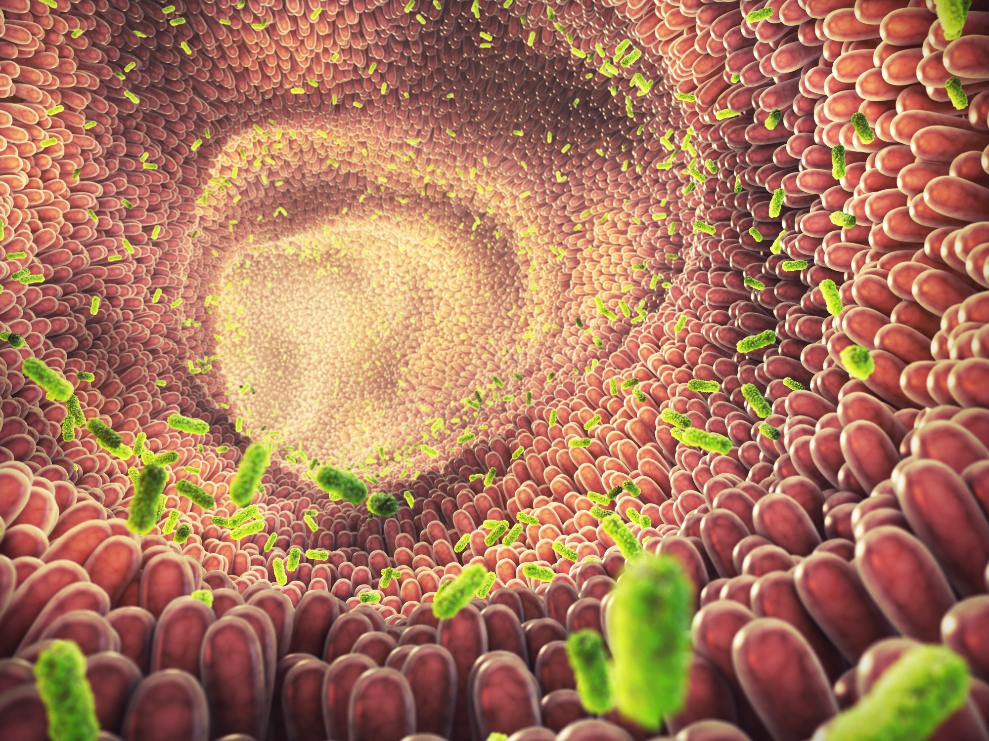 Intestinal bacteria 3d illustration
