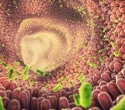 The Untapped Potential of Microbiome Diagnostics for Improving Health
