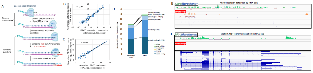 RNA-seq benchmarking using universal human reference RNA (Thermo, Cat# QS0639)