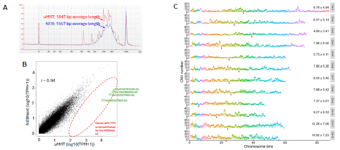 RNA-seq benchmarking using rice leaf total RNA (Zyagen, Cat# PLR-1004).