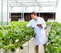 How Agritech Is Reinventing Global Food Security In 2025
