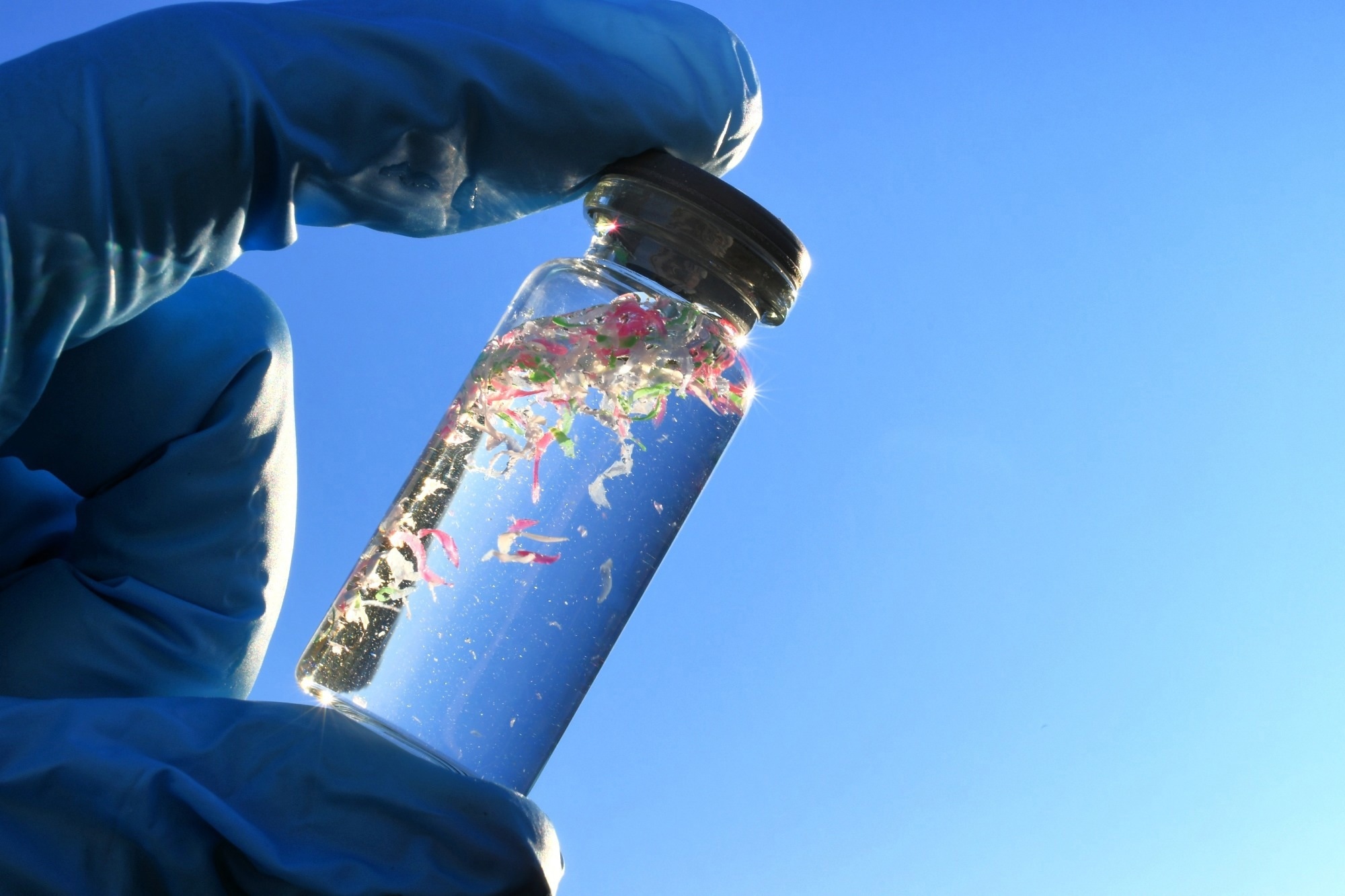 Gloved human hand holding a small glass vial filled with water and microplastics.