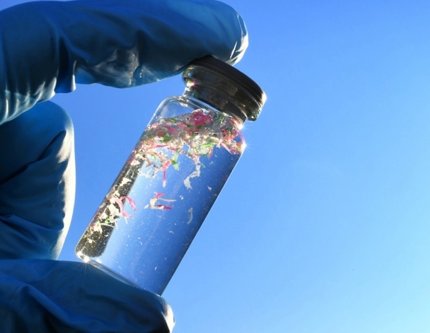 Invisible Invaders: What Toxicology Reveals About Micro- and Nanoplastics