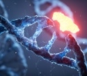 Advances in Gene Silencing and Editing for Rare Disorders