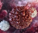 The Promise and Perils of Reprogramming Immunity