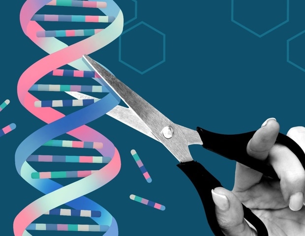 CRISPR for Christmas? The Year’s Biggest Gene Editing Breakthroughs, Unwrapped