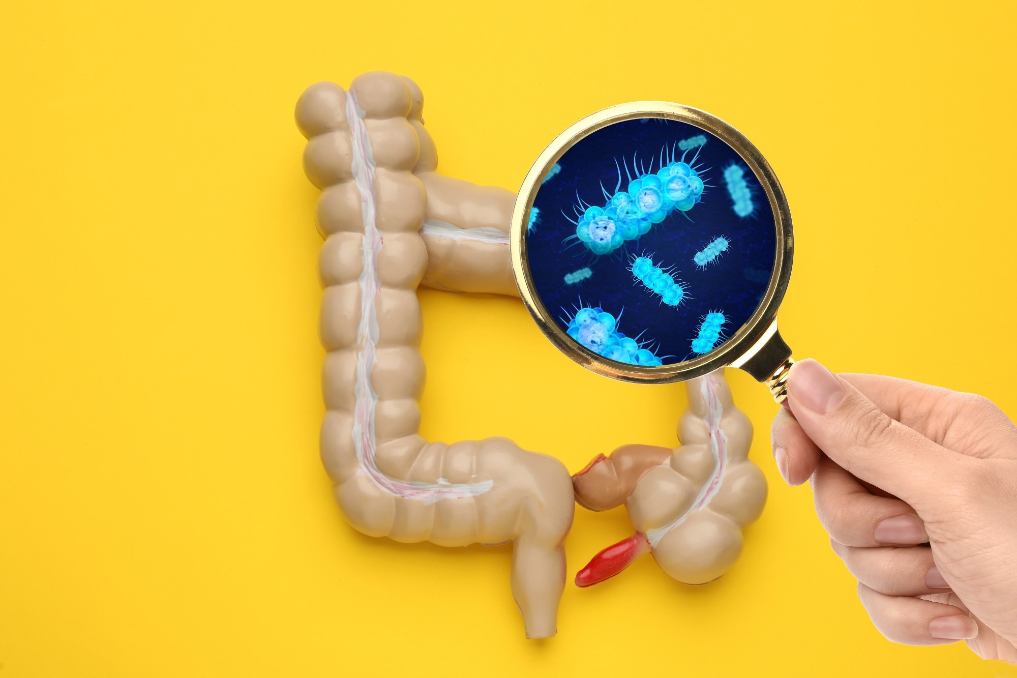 Woman with magnifying glass and anatomical model of intestine on yellow background, top view