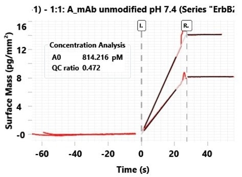 CFCA of unmodified Trastuzumab binding to ERBB2 at two various flow rates