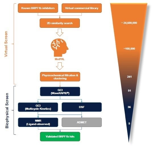 The BioPALS hit identification process is centred on the MolPAL algorithm and a GCI-driven biophysical hit confirmation workflow. In silico activities are displayed in orange, biophysical screening activities in blue and ADMET profiling in grey. The number of compounds processed though each individual stage for the BRPF1b bromodomain are shown on the right.