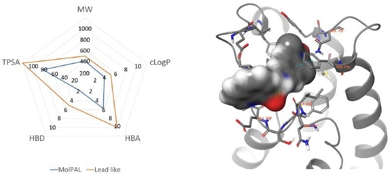 Left: Physicochemical profile of the MolPAL output (blue) compared to lead-like boundaries (orange). Right: Lowest energy docking pose predicted by MolPAL for compound 5 (grey surface) within the BRPF1b active site (grey cartoon, PDB = 6EQK). Key residues are represented in grey sticks and amino acid sequence numbers with orange labels. Nitrogen, Oxygen and Sulfur atoms are coloured blue, red and yellow respectively. π- π interactions are represented with dotted cyan lines