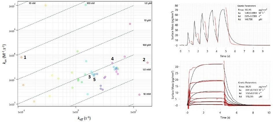 Left: Two-dimensional isoaffinity kinetic plot of association (kon) and dissociation (koff) rate constants from waveRAPID® screen of 51 virtual hits. The 36 primary hit binders are shown. Diagonal lines indicate equilibrium binding constants (KD). Each circle represents a binder and is coloured according to the dissociation rate. Top right: WaveRAPID® GCI sensorgram of compound 5 (100 μM) binding to BRPF1b. Bottom right: Multicycle kinetics GCI sensorgram of 5 binding to BRPF1b