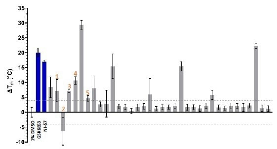 DSF characterization of the of 36 waveRAPID® primary hits (grey). GSK6853 and NI-57 are coloured in blue, and the > +4 °C and < -4 °C thresholds are indicated with grey dashed lines