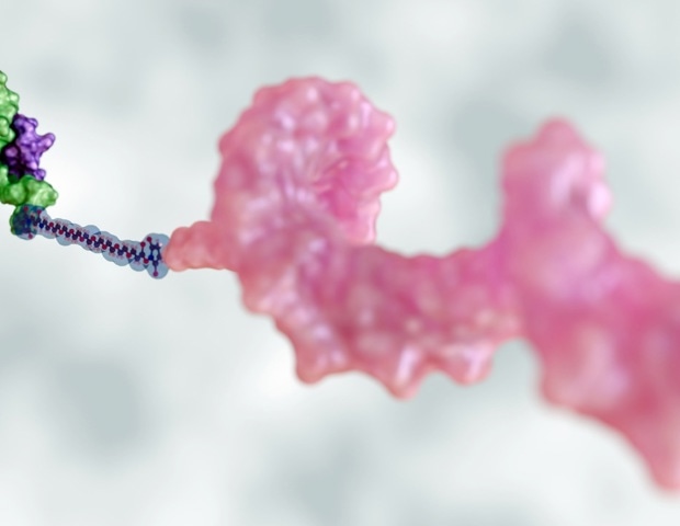 Overcoming Endosomal Escape in Oligonucleotide Drug Delivery