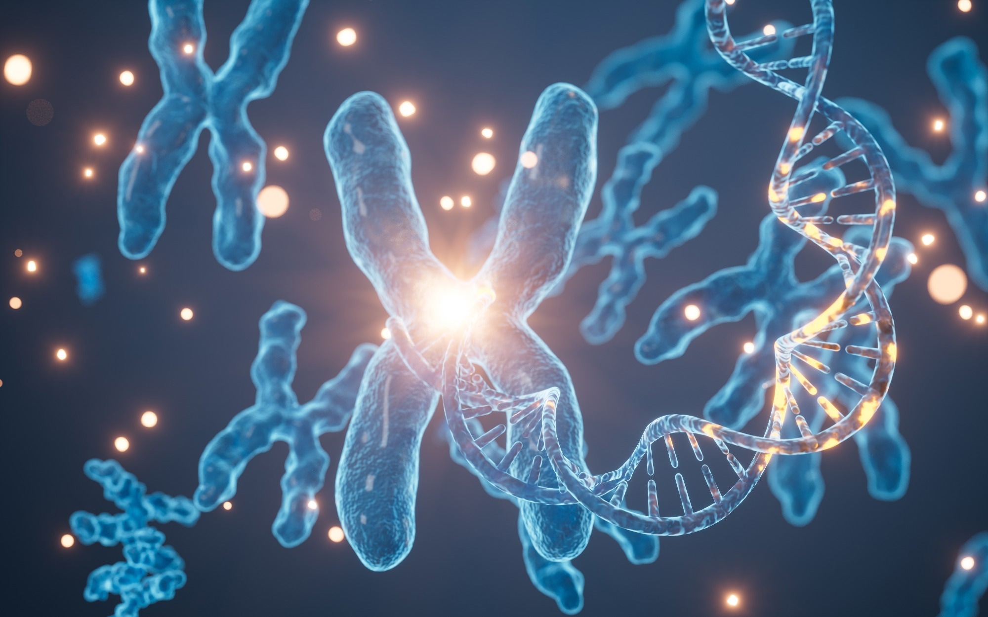 Human genes and chromosomes, 3d rendering. 3d illustration.