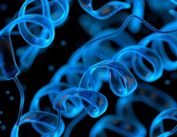 The Life Cycle of a Protein