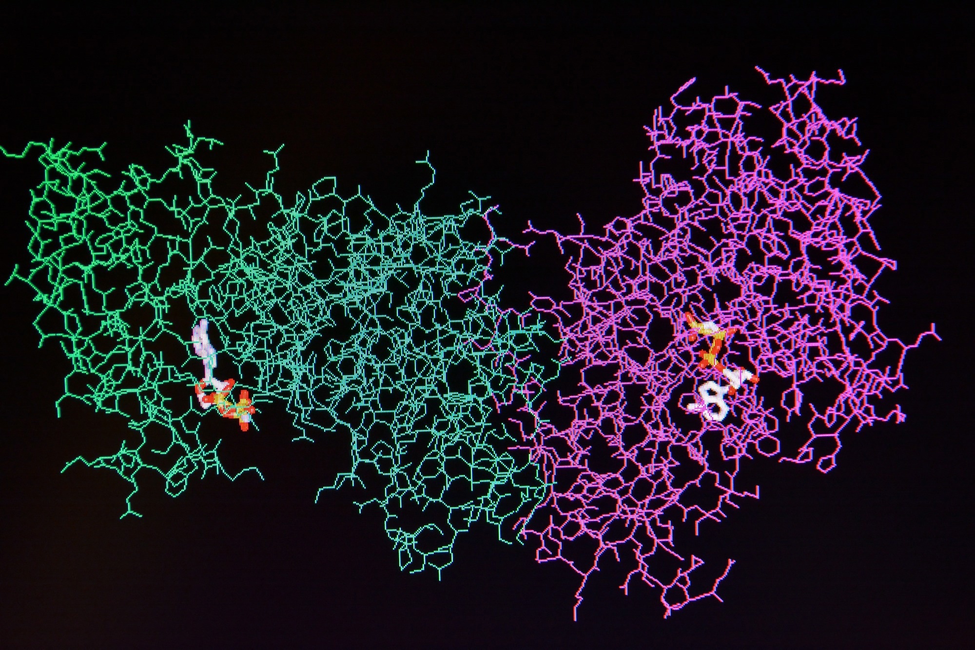 Structure of the protein molecule. Molecular model of human enzyme on a black background.
