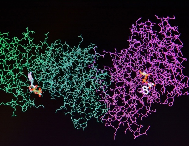 Using Mass Spectrometry for Clinical Proteomics and Biomarker Development