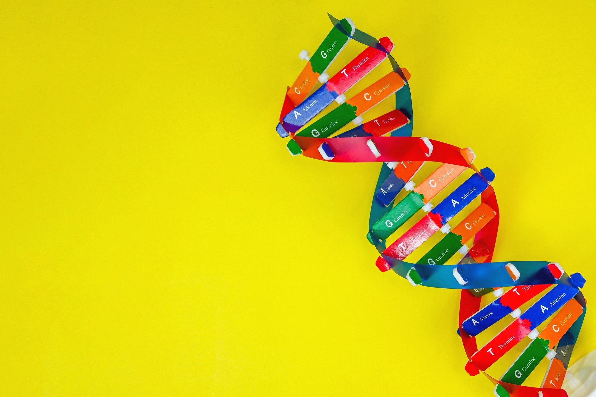 DNA helix structure, code made up of four chemical bases: adenine, guanine, cytosine, and thymine. Human DNA spiral molecule structure, Science icon.