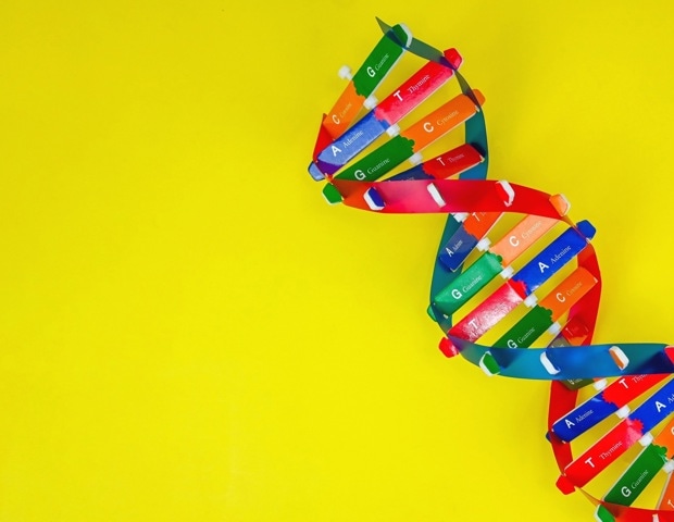 piRNA: Epigenetic Regulators of Genome Stability, Development and Disease