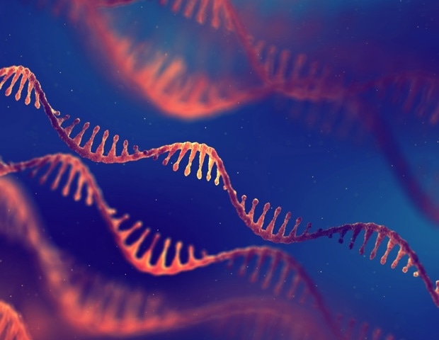 How siRNA Technology Targets Disease-Causing Genes in Inflammation and Cancer