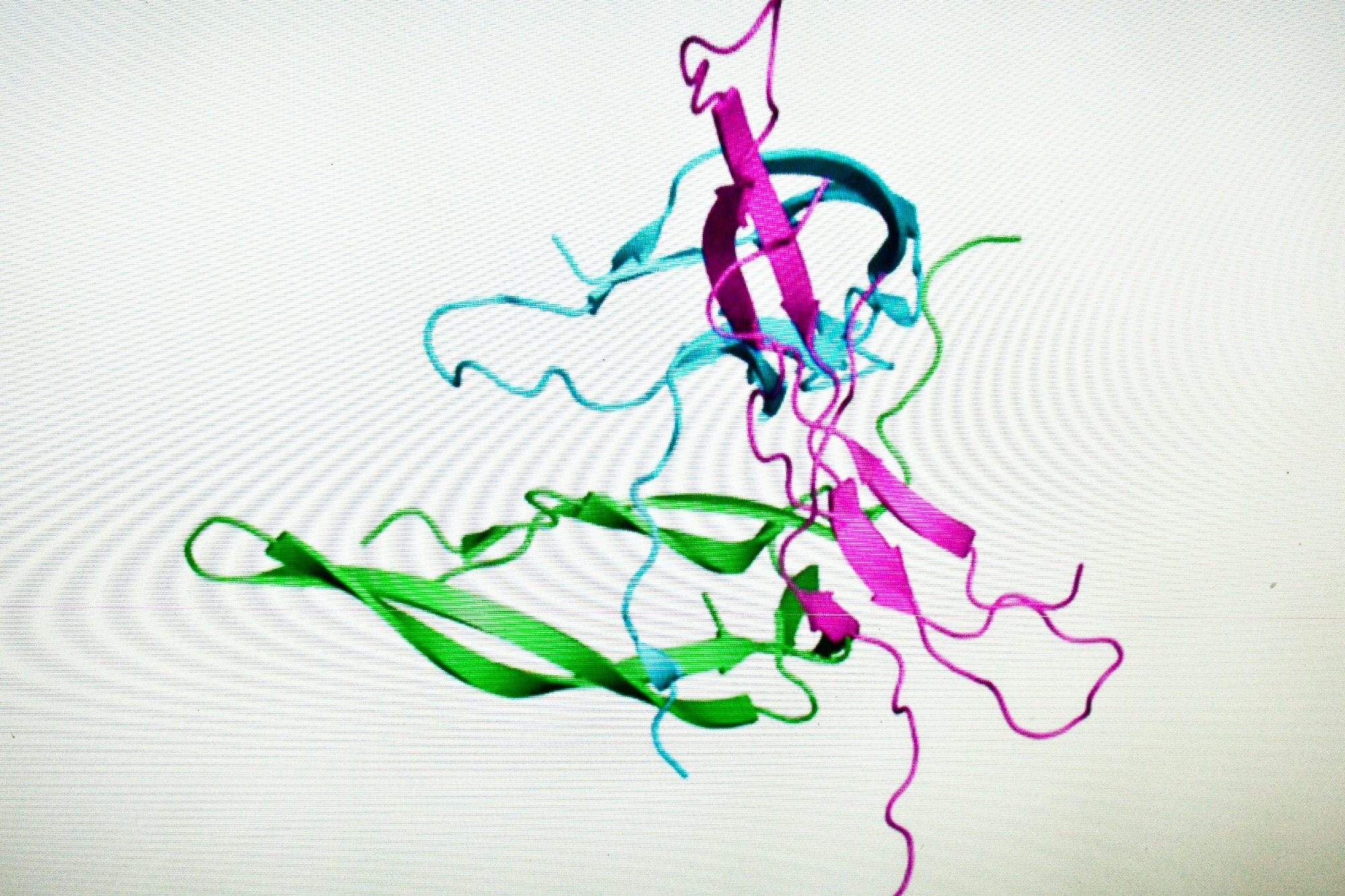 Research in the field of proteomics. New technologies for the study of biological macromolecules.