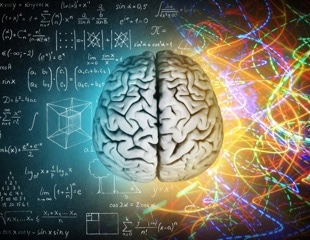 Whole-Brain Mapping and Connectomics: Tracing the Wiring of the Mind