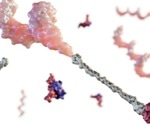 Peptide Oligonucleotide Conjugates for Targeted Nucleic Acid Therapeutics