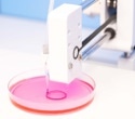 How Advanced Bioinks and Hydrogels Are Shaping the Future of 3D Bioprinting