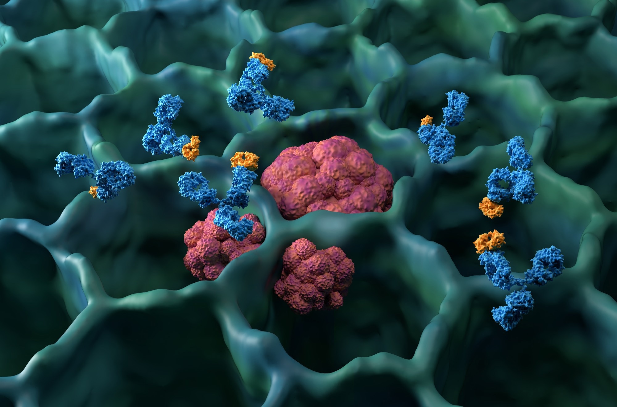 Monoclonal antibody treatment in lung cancer (LC) - isometric view 3d illustration