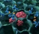 How Immunotherapy Is Transforming Cancer Treatment and Patient Survival