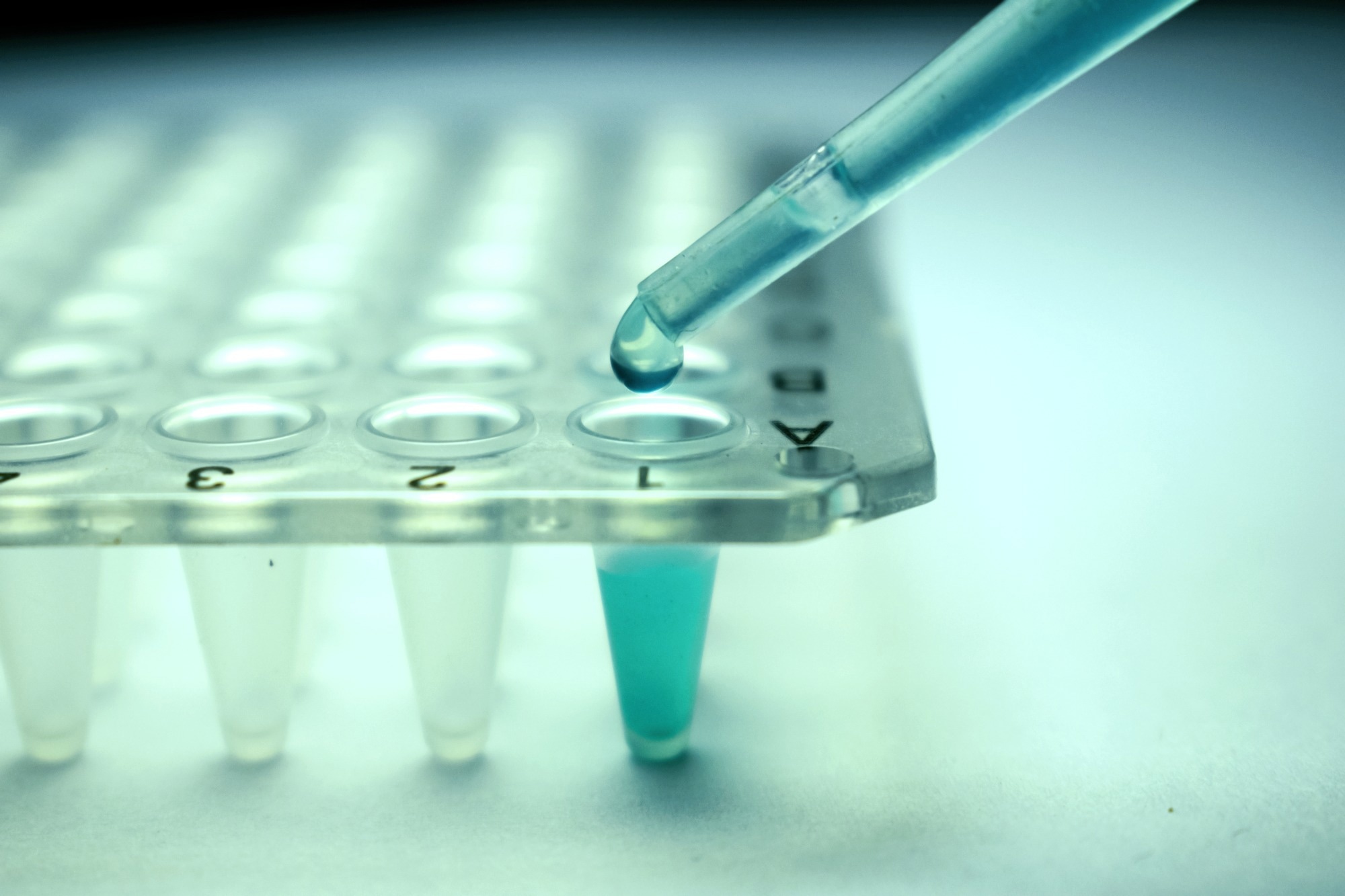 Laboratory pipette transferring liquid into a microplate, representing experimental research into cellular ageing, epigenetics, and rejuvenation biology.