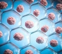 How Cellular Rejuvenation Targets Biological Age Rather Than Chronological Age