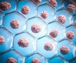 How Cellular Rejuvenation Targets Biological Age Rather Than Chronological Age
