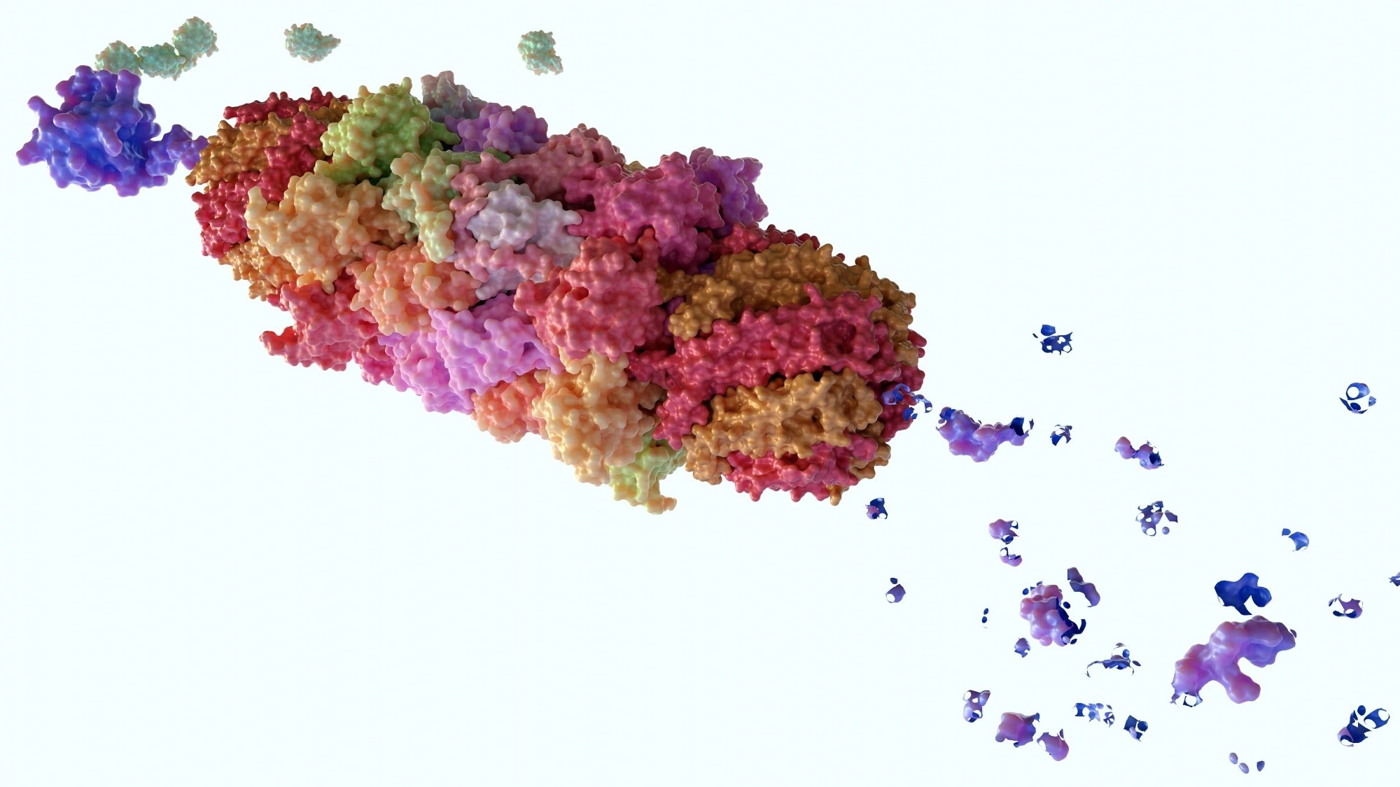 Proteasomes are molecular machines for breaking down proteins called proteolysis, only target proteins that have been marked for destruction called ubiquitin to the target protein, 3d rendering