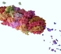 What Are PROTACs and How Do They Work?