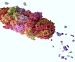 What Are PROTACs and How Do They Work?