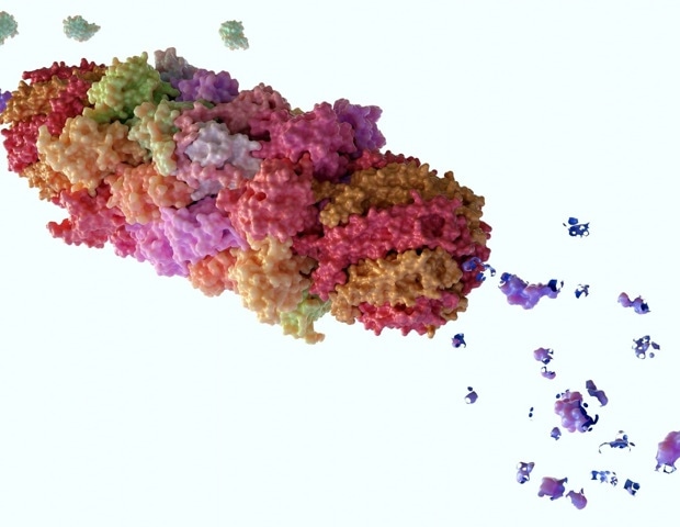 What Are PROTACs and How Do They Work?